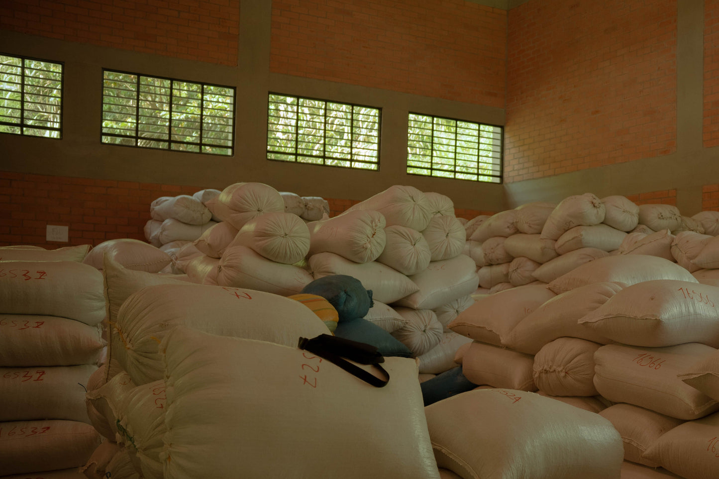 Yellow Bourbon Honey/イエローブルボン　ハニー