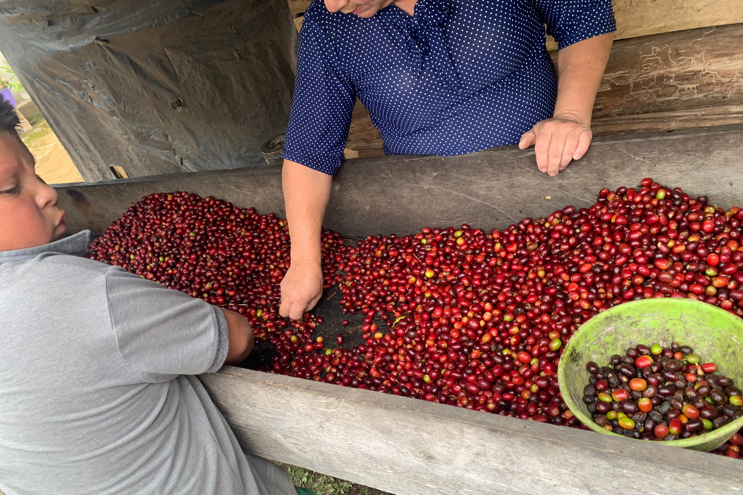 Pasifrol infused/パシフローラ　インフューズド