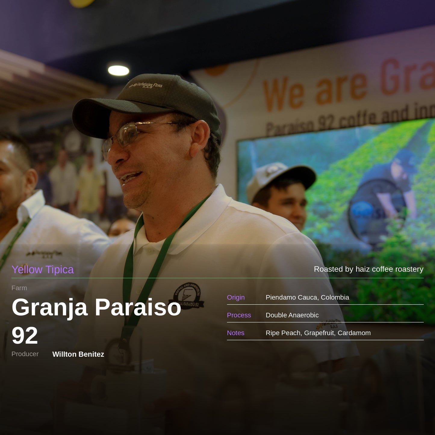 Granja Paraiso92  Yellow Tipica | グランハパライソ92 イエローティピカ
